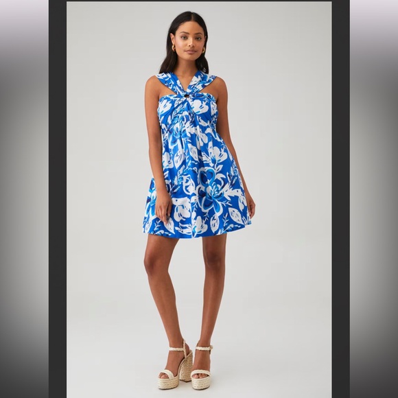 Cleobella Dresses & Skirts - NWT Cleobella Women's Brynlee Mini Dress Color: Blue Azure Print Size Medium